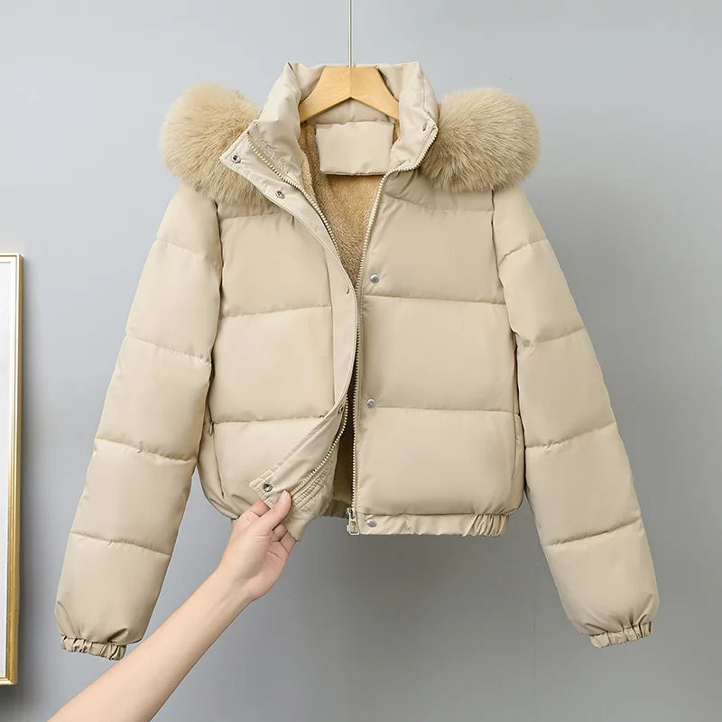 DP-350 ABRIGO DE MUJER